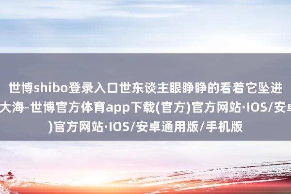 世博shibo登录入口世东谈主眼睁睁的看着它坠进了十几米以下的大海-世博官方体育app下载(官方)官方网站·IOS/安卓通用版/手机版