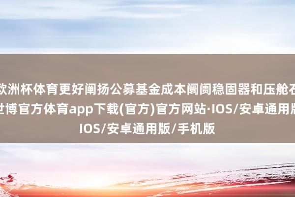 欧洲杯体育更好阐扬公募基金成本阛阓稳固器和压舱石的作用-世博官方体育app下载(官方)官方网站·IOS/安卓通用版/手机版