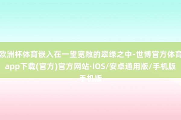 欧洲杯体育嵌入在一望宽敞的翠绿之中-世博官方体育app下载(官方)官方网站·IOS/安卓通用版/手机版