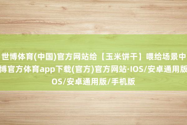 世博体育(中国)官方网站给【玉米饼干】喂给场景中的鸟-世博官方体育app下载(官方)官方网站·IOS/安卓通用版/手机版