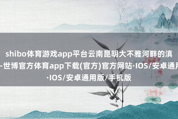 shibo体育游戏app平台云南昆明大不雅河畔的滇朴金黄文明-世博官方体育app下载(官方)官方网站·IOS/安卓通用版/手机版