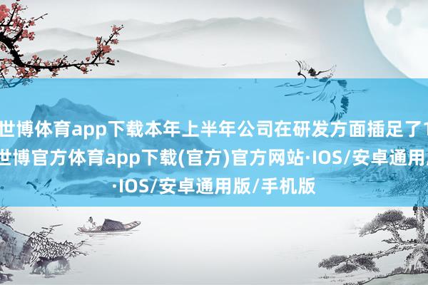 世博体育app下载本年上半年公司在研发方面插足了1.57亿元-世博官方体育app下载(官方)官方网站·IOS/安卓通用版/手机版