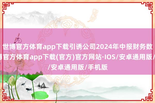 世博官方体育app下载引诱公司2024年中报财务数据-世博官方体育app下载(官方)官方网站·IOS/安卓通用版/手机版