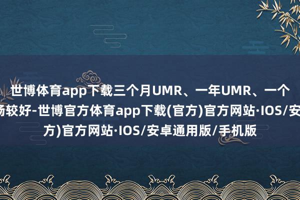 世博体育app下载三个月UMR、一年UMR、一个月换手等因子阐扬较好-世博官方体育app下载(官方)官方网站·IOS/安卓通用版/手机版