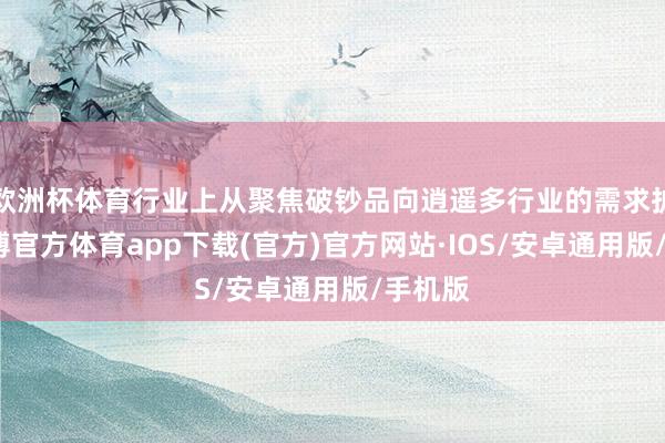 欧洲杯体育行业上从聚焦破钞品向逍遥多行业的需求扩张-世博官方体育app下载(官方)官方网站·IOS/安卓通用版/手机版