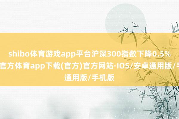 shibo体育游戏app平台沪深300指数下降0.5%-世博官方体育app下载(官方)官方网站·IOS/安卓通用版/手机版