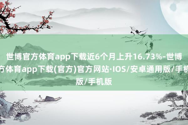 世博官方体育app下载近6个月上升16.73%-世博官方体育app下载(官方)官方网站·IOS/安卓通用版/手机版